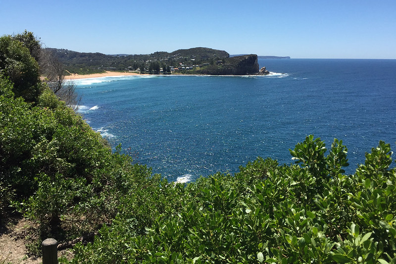 Bilgola view