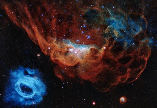 Cosmic Reef (2020)